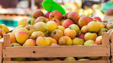Apples in crate at a farmers market