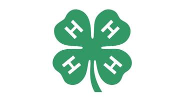 4-H clover leaf logo