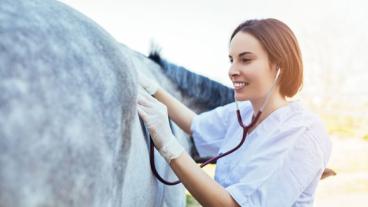 Woman with stethescope and horse