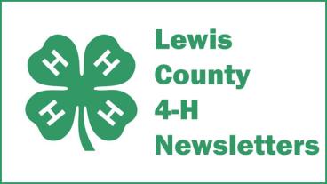 4-H clover, newsletter graphic
