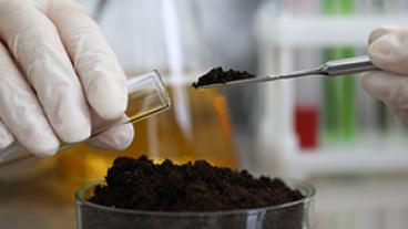 Measuring out soil in a lab