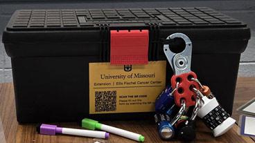 Toolbox with multiple locks