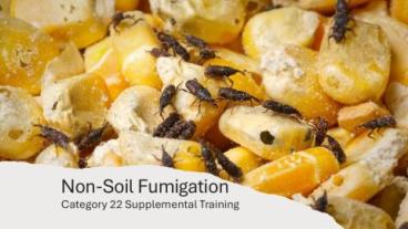 Non Soil Fumigation