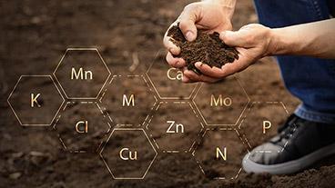 Person with handful of soil surrounded by element symbols