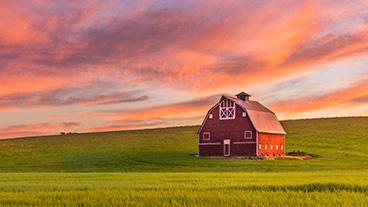 barn in a field at sunset