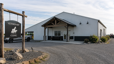 Veterinary Medical Education and Continuing Education