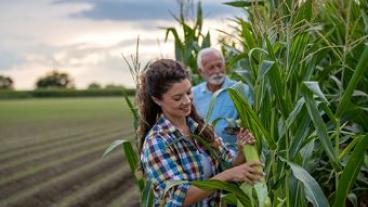 SuccessfulTransitionforFarm