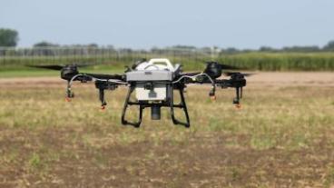 Winter Sown Drone