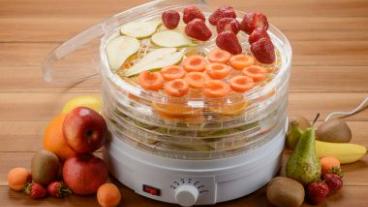 Assorted fruits in a food dehydrator