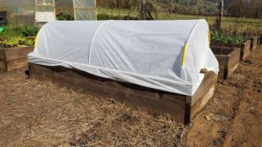 Cloth tunnel cover over a raised garden bed.