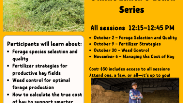 Flyer for the program