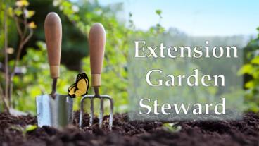 Extension Garden Steward