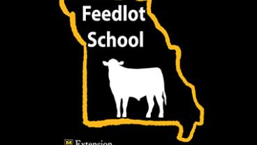 Feedlot school with a cow in the border of Missouri.