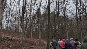 People hiking in the woods in winter.