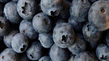 Close-up of pile of blueberries