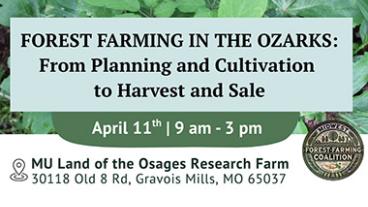 Forest Farming in the Ozarks postcard