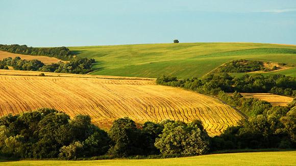 Agricultural site with a field and hills