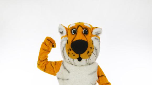 Truman the tiger