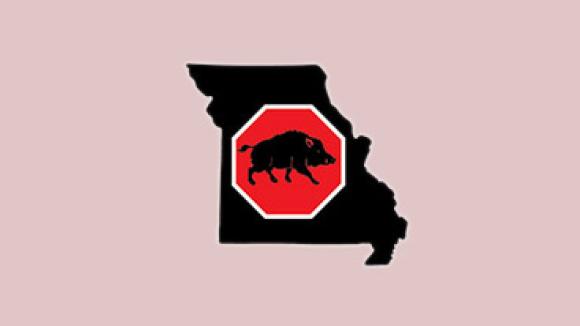Feral Hog logo