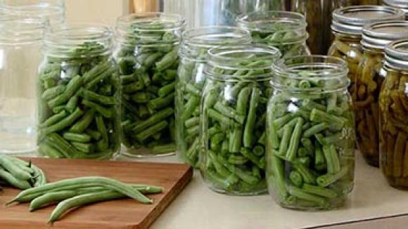 Green beans being preserved.