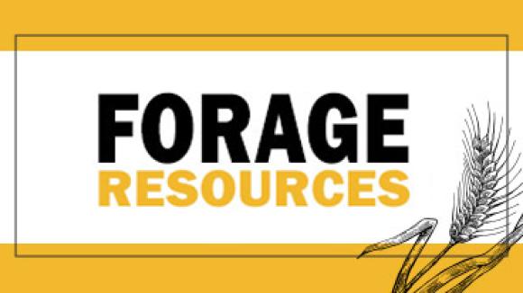 forages resources