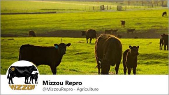 Mizzou Repro Facebook page cover image.