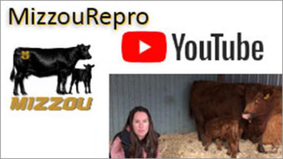 Mizzou Repro YouTube channel ad.