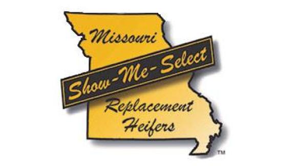 Show-Me Select Heifer Replacement Program logo.