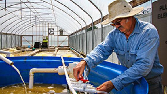 Intensive aquaculture management resources