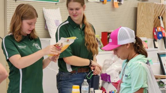 4-H Ambassadors working with younger kids