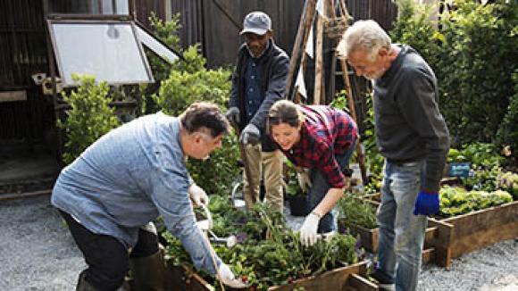 group of people looking at a garden raised bed