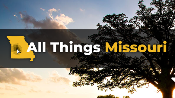sky and trees with text banner