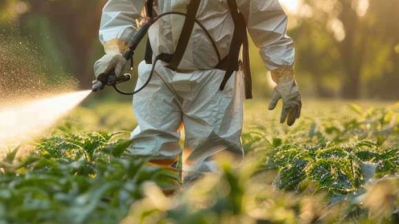 worker spraying a field