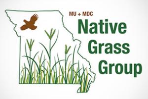 native grass group logo