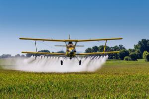 plane dusting field