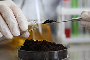 Measuring out soil in a lab