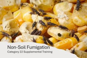 Non Soil Fumigation