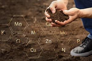 Person with handful of soil surrounded by element symbols