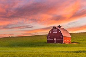 barn in a field at sunset