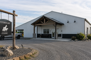 Veterinary Medical Education and Continuing Education