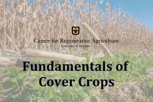 Fundamentals of Cover Crops