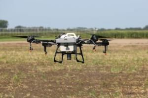 Winter Sown Drone