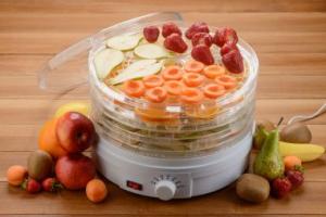 Assorted fruits in a food dehydrator