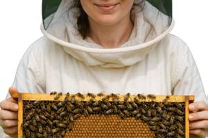 Beekeeper with shelve of bees