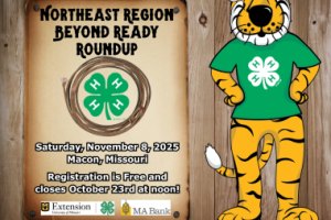 Flyer for the event