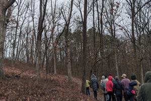 People hiking in the woods in winter.