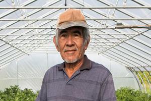 Man standing in greenhouse with plants