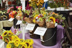 Flowers for sale at farmer's market