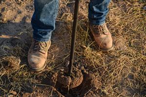 Person using soil probe sampler to get soil for testing