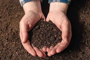 Hands holding soil
